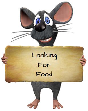 Attic, Pest Control Long Island, rid, mice, Long Island, New York, mouse, rodents, animal, attic, droppings, burrows, foxes, skunks, nocturnal, exterminators, rodent control, pest control, rodent-proofing, pests, inspection, trapping, exclusion, Nassau County, groundhogs, rats, nesting, fleas, mites, wildlife diseases